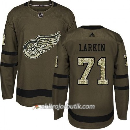 Män Ishockey Detroit Red Wings Tröja Dylan Larkin 71 Adidas 2017-2018 Camo Grön Authentic